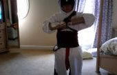 Assassin's Creed kostuum (ac1)