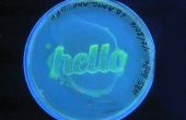 Hoe te groeien "Hello World" met GFP bacteriën