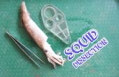 Squid dissectie
