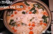 Kip en rijst soep in 30 minuten