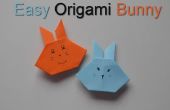 Origami papier konijn - eenvoudige Tutorial - DIY ambachten