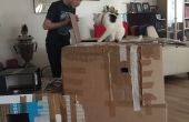 Hoe maak je een kat doos