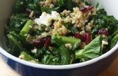 Boerenkool en Quinoa salade