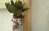 Eenvoudige pallet stuk muur-bloemenvaas bier
