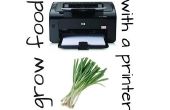 Verbouwen voedsel met uw printer! 