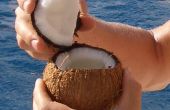 Hoe open je een kokosnoot