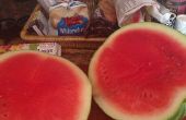 Gratis Water Meloen snijden knoeien
