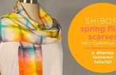 Shibori Spring Fling sjaals met kleurstof ColorHue