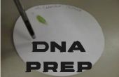 Papier schijf DNA voorbereiding