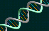 De wetenschap van DNA! 