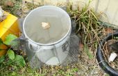 Mosquito trap (mug abortus kliniek of bron overlappen)