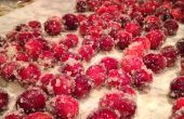Gesuikerd Cranberries