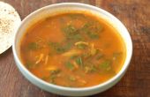 Zuid Indiase stijl kip, spinazie en tomaat soep