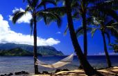 Vakantie in Hawaï