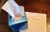 50 manieren om te zeggen ik Love u met een Kleenex Box
