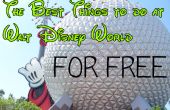 Beste gratis dingen te doen in Walt Disney World