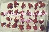 Choc-Marshmallow druppels In 3 eenvoudige stappen! 