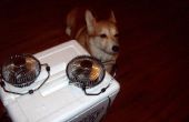 Goedkoop-o zelfgemaakte Air Conditioning (hond niet inbegrepen)