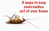 5 manieren om te houden van de kakkerlakken off uw huis