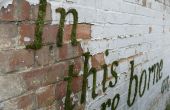 Hoe maak je 'Moss Graffiti'