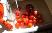 Snelle blik tomaten