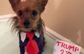 Donald Trump Dog kostuum