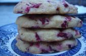 Cranberry Icebox Cookies
