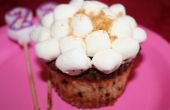 S'mores Cupcakes! 