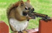 Hoe te overleven 2012 eekhoorn invasie