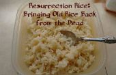 Opstanding rijst: Terug te brengen oude rijst uit de doden