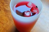 Hibiscus Cooler (Jamaica drinken)