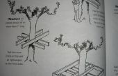 Het plannen van een boomhut