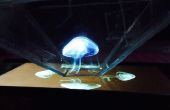 DIY Projector van holograaf