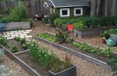 Urban Farming: Verhoogd Bed Tuinieren