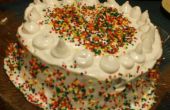 De Cake van de regenboog van Betty Crocker