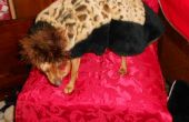 Chique Cheetah Full Length jas met hoed voor Miniture honden