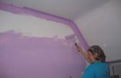 Hoe te schilderen van de muren