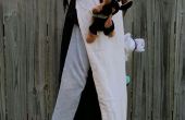 Halloween kostuum: Regerend katten & honden