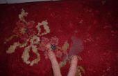 Hoe te verwijderen wax uit een Axminster tapijt
