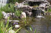 Vijver of watertuin - hoe te bouwen achtertuin vijver