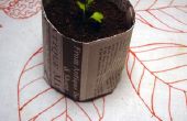 Maak uw eigen Seedling Pots uit krant