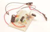 Horen bij het gebruik van echografie een DIY Flanagan 'Neurophone'