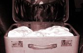 Huisdier Bed van een Vintage koffer in 5 minuten! 
