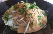 Nam Ya Curry (Thaise gehakt vis Curry)