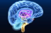 Controle van alle gadgets met je hersenen! (Neurofeedback met Arduino Microcontroller) 