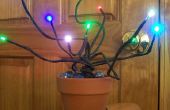 Uw eigen kleur veranderende LED Plant groeien! 