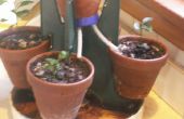 Planter Pot houder gieter/Drainage base