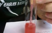 How To Extract DNA van een aardbei