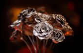 Aluminium kan rozen