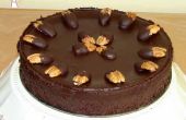 Chocolade Pecan Cake (flourless Chocolate Cake)